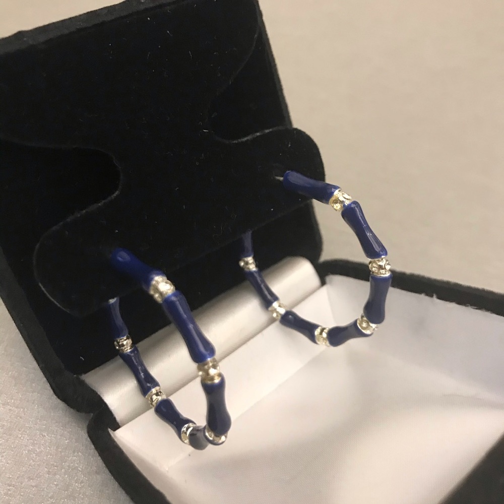Chic blue and silver hoops